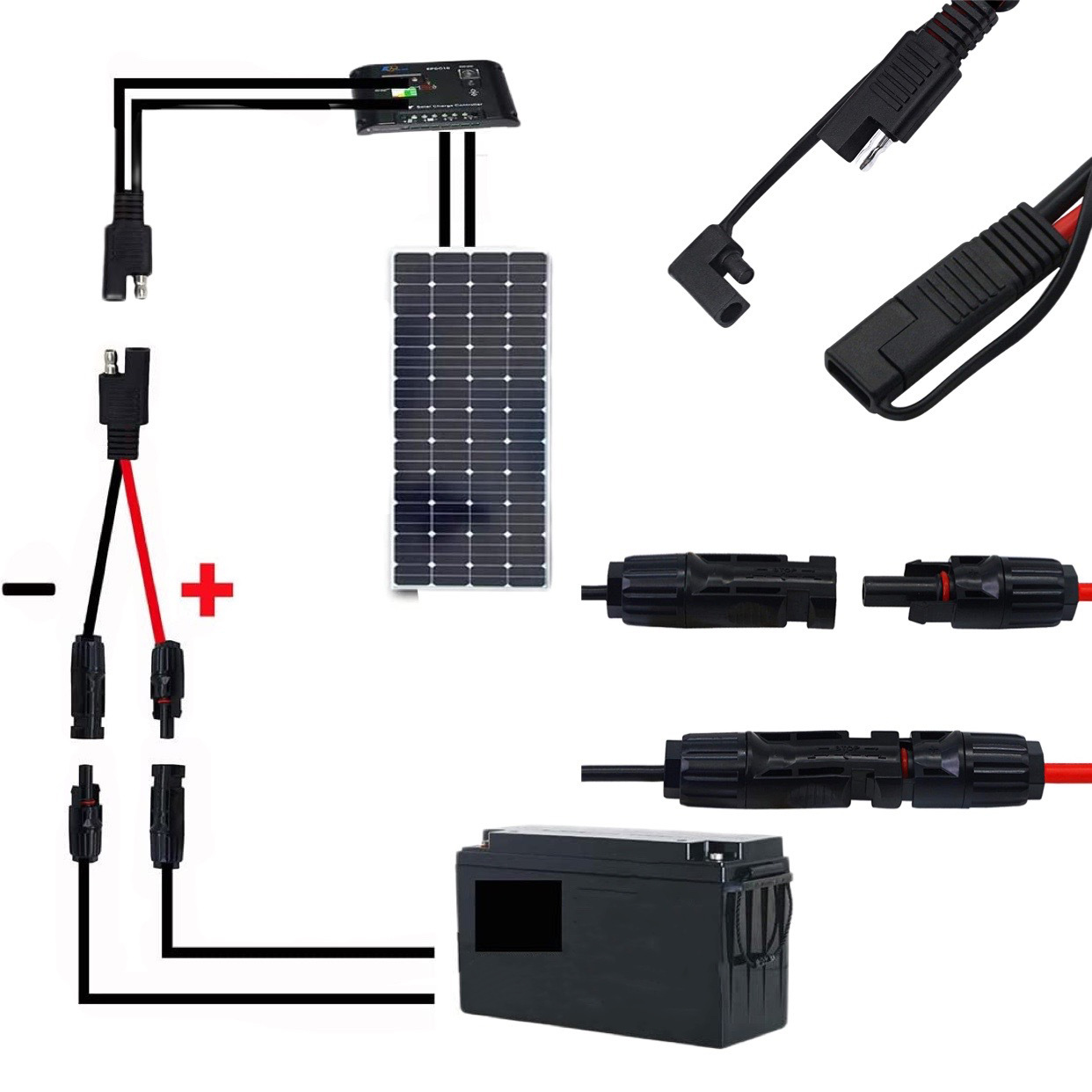 IMG_3594(20220914-120140)