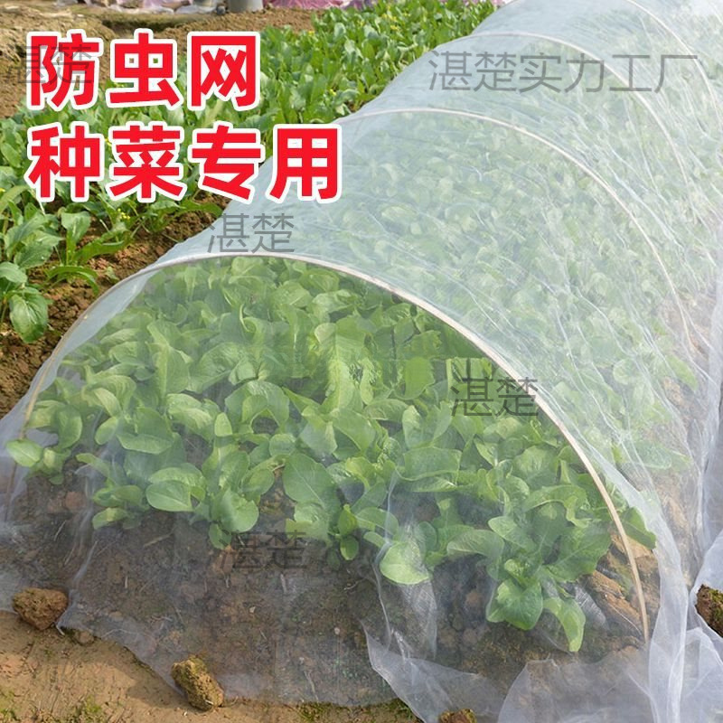 防虫网种菜专用目防虫罩加密纱网菜地果园网蔬菜防鸟罩菜园菜地