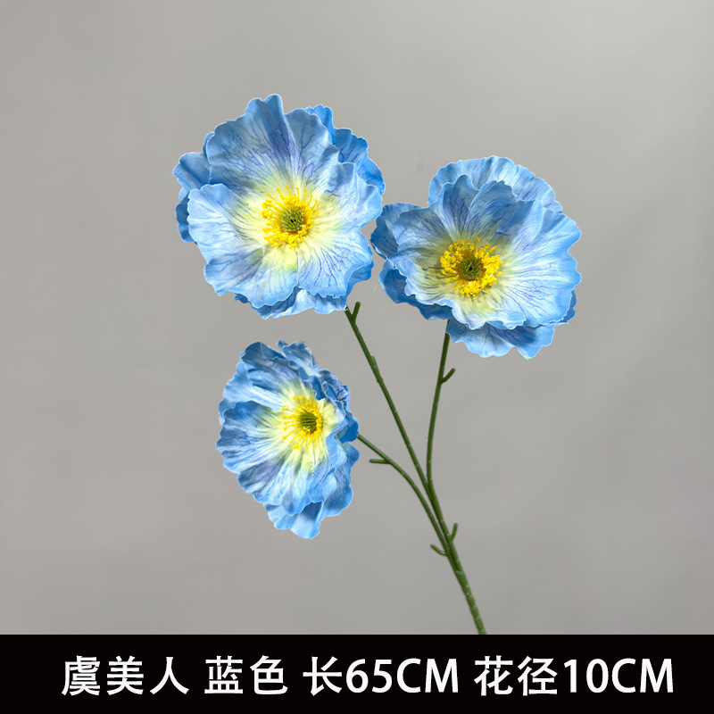 양귀비 블루