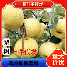 һ�����l������޽���������Sˮ���Ә��m���Ԯ���Y�������