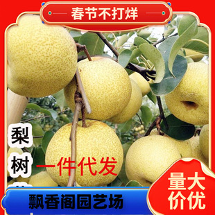 һ�����l������޽���������Sˮ���Ә��m���Ԯ���Y�������