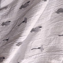 wUƤyƶỨBȹŮbͯbỨ