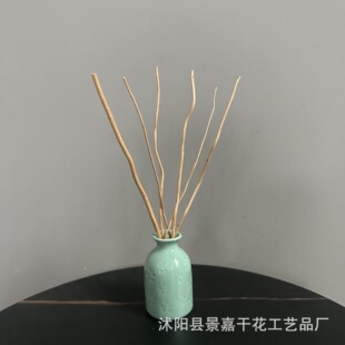�S�ҹ������� �ҾӔ[�O�b����l �o����޹�w�S��ֲ����֦