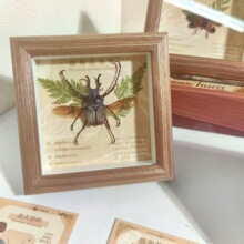 �Ĵ��¿�����걾���������Ȼ������ս̾ߴ�����Ʒ����ڼ�����