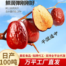 代发水洗新疆和田大红枣玉枣批发【华北枣农】骏枣核小肉厚大红枣
