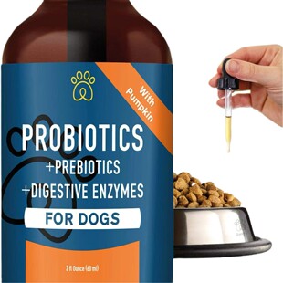 �羳�����������c�����������΄����M��������Û��Pet probiotics