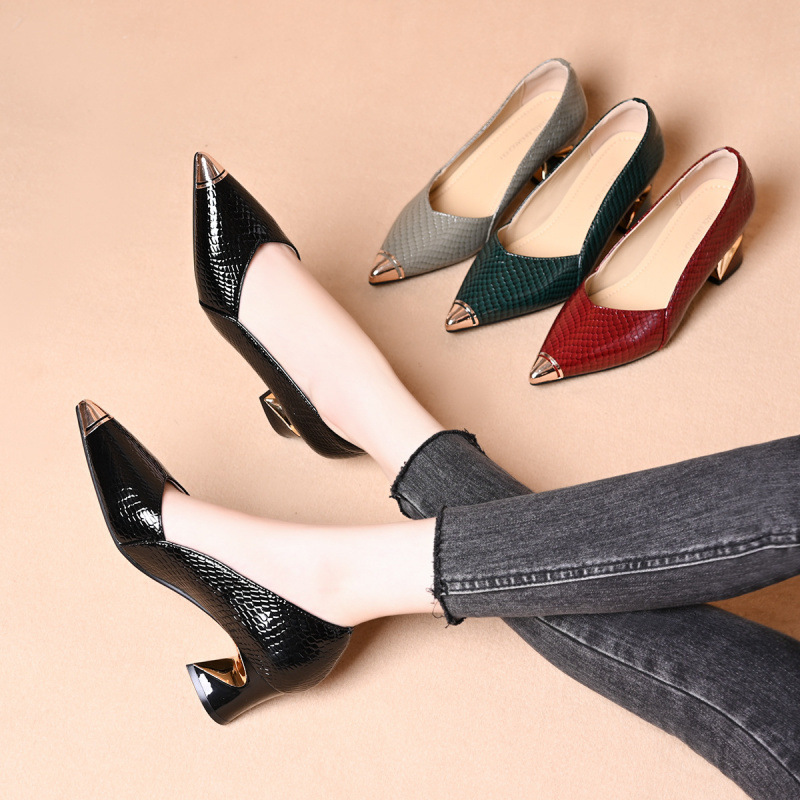 Zapatos de talón medio puntiagudo y poco profundo zapatos de talón alto de mujer zapatos de talón grueso 2026 zapatos de primavera en stock 1 día de envío
