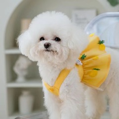 ペット犬夏パイナップルイチゴスカートペットドレス猫服夏テディ小型犬薄いスタイル