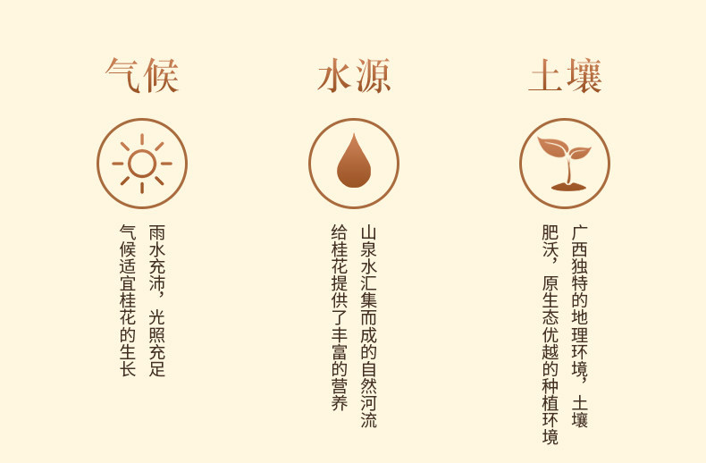 Premium Dried Osmanthus Flowers Gui Hua 500g Fragrant Herbal Tea for Brewing Baking and Culinary Use key features