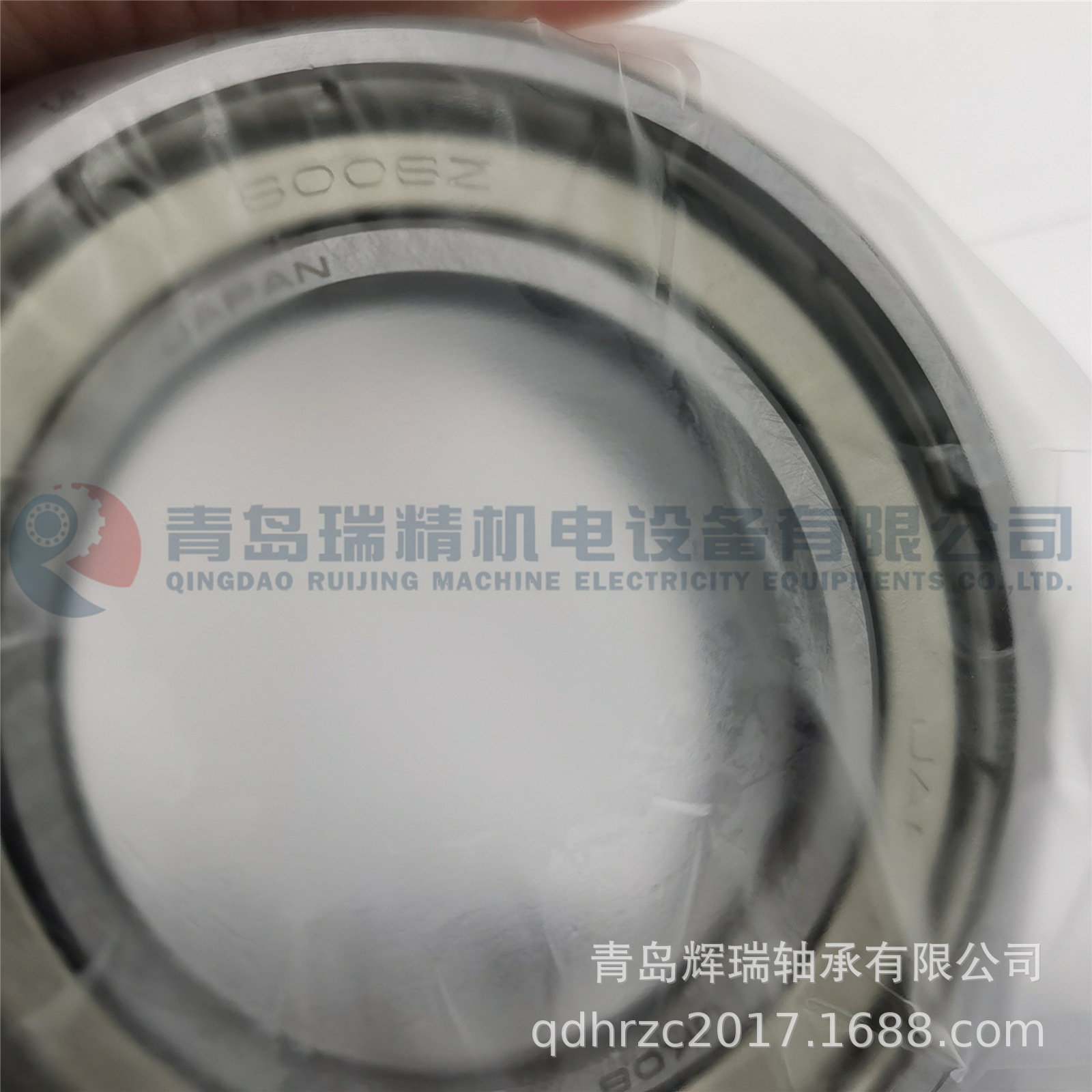 NSK 6006ZZP5 (5).jpg