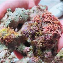 ʯlr~_쾰ʯⱬ庣מVƽˮ|