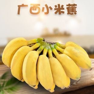 �V��С�׽� ���r�׽�����ɿ�3/5/9��ˮ���㽶�Fժ�F�l�����˰Ž�
