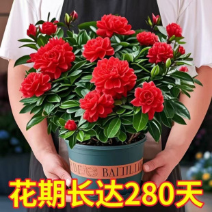 �d�ӻ����莧���������̓����՚�ĵ���d�ӻ��ܾGֲ���̨�ļ�����