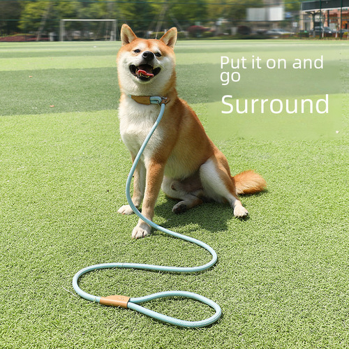 [Direct supply from super factory] Dog leash, medium and large dog chain collar, dog walking P chain, p rope pet supplies