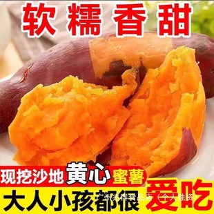 �������żt����������ɳ���������r�SƤ�S�ļt�����Ϸ�����Ŵ�ع�