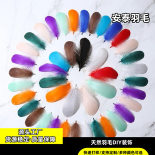 �羳���l��ɫС�h�Zë ��Y���c��̨�b���ë �Y�жY����䲶���W