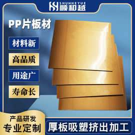 厂家批发PP板材现货供应吸塑厚板 广东高温阻燃PP片材板批量定制