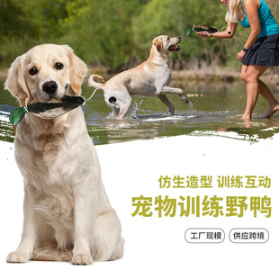 ˽ģӖ���������Ӗ���C��ʰ�ؼ�������Ϳ�ҧ��߿羳���