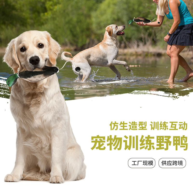 Private models train dogs and pet toys train hounds to pick up fake poultry dogs and bite-resistant toys cross-border e-commerce
