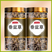 垂盆草中药食用正品泡茶中药材批发市场泡水批发干垂盆草作用