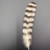 Factory spot supply cocktail feathers Peking opera tail tail tail 10-110 cm home nourishing wild feathers