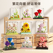 ˇ�߾_�����������㙉õ�����տ�΢�w���eľ��ͯ����DIYƴ�b���