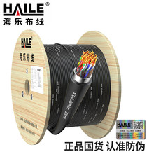 HYA-20*2*0.4室外20对大对数线缆电话线市话语音通信线缆100米
