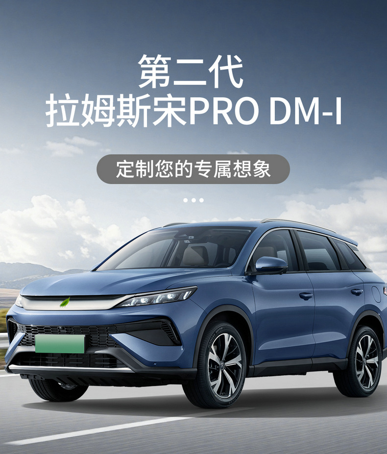 25 Byd Song Pro Special Seat Covers Second Generation Intelligent Driving Version Dmi Four-Season Suede Car Seat Cushion Seat Cover