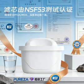 欧洲净水壶滤芯椰壳活性炭Z059净水过滤芯适配菲利普饮用水壶滤芯