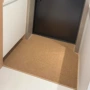 入户异形质感剑麻门口垫