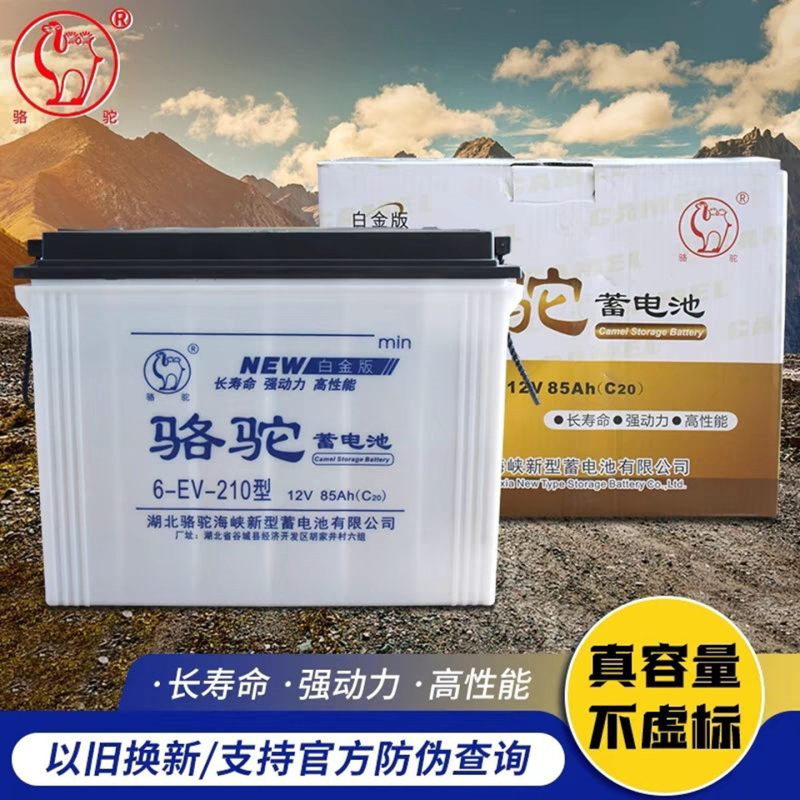 Camel Brand 12V Battery for Electric Tricycles, 60V Large-Capacity Lead-Acid Battery, 48V for Forklifts