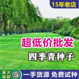 种子;草种子