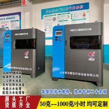 智能款全自动1kg电解次氯酸钠发生器 plc控制系统 电解盐水设备