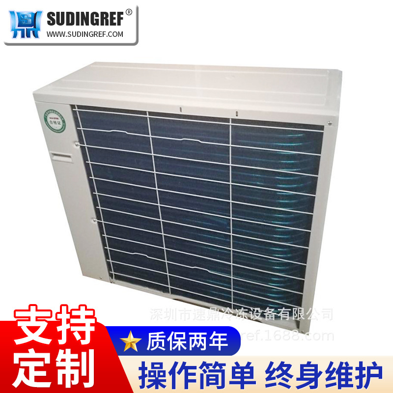 飘雪机 飘雪屋现货瓢雪机广东真冰真雪机组厂家 人工造雪机