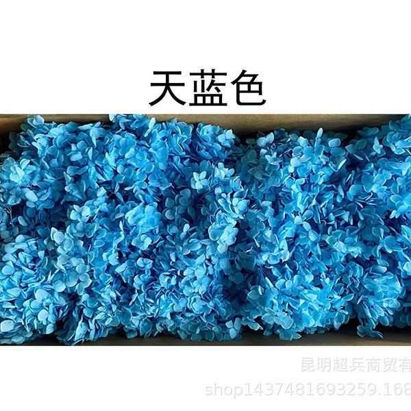 [Вечная Life Flower Hydrangea] Анна Градиентный цвет Лист Hydramid Книга цветов оптом DIY цветочная коробка материал для просмотра