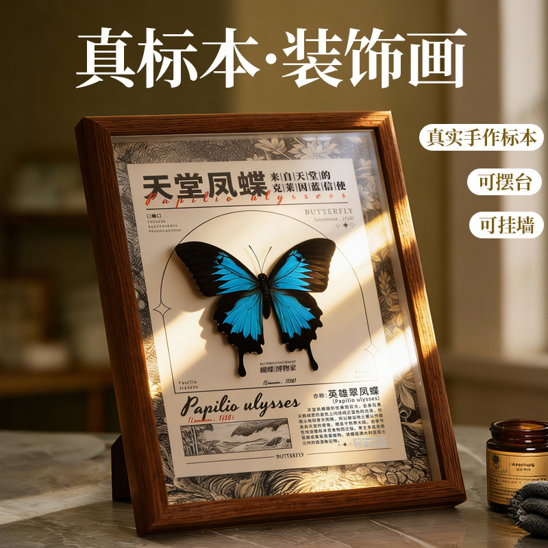 Simba Diary Real Butterfly Specimen Large Vintage Ornament Birthday Gift Wall Art Frame School Classroom Display Simba Diary Real Butterfly Specimen Large Vintage Ornament Birthday Gift Wall Art Frame School Classroom Display