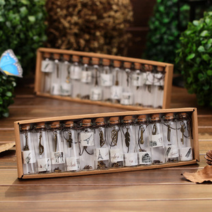 A Set of 12 Retro Wishing Bottles, Constellation Lucky Bottles, Glass Cork Drift Bottles, Creative Home Pendants