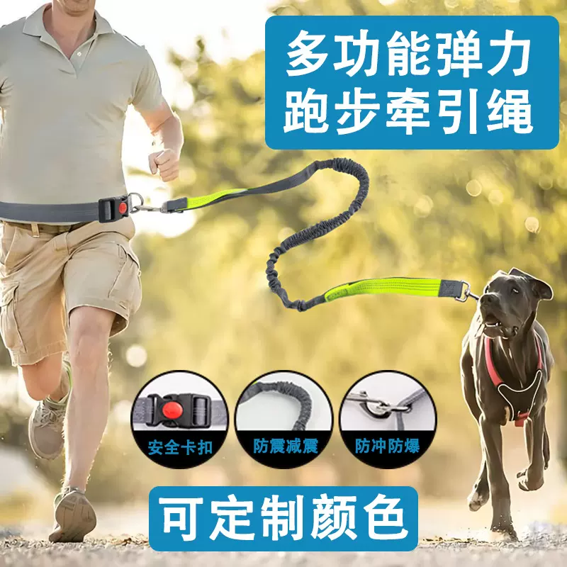 亚马逊宠物狗狗运动牵引套装跑步弹性牵引绳狗狗牵引绳带夜间反光