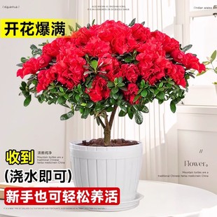 ���N�����Դ��玧�����̨����ֲ���҃Ȼ����B��Gֲ����