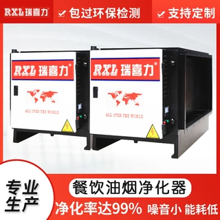 定制瑞喜力DGRH-BS-8K低空油烟净化器商用厨房酒店餐饮业净化设备