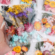 纯天然永生花干花材料包手工压花材料手工diy相框团扇混搭干花