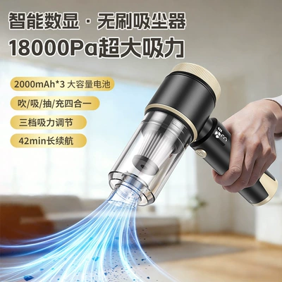 Suction and Blowing, High Power, Tozsoranlar