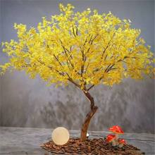 ��Ʒ���滨���~���S���t�����;Gֲ�٘��b��҃����ɽˮ��ʽ