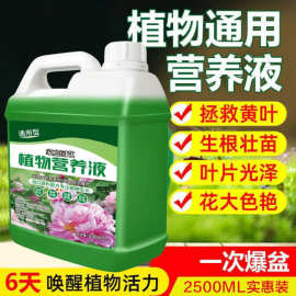 营养液植物通用型大桶斤装花肥发财树水培盆栽家用花卉养花肥料