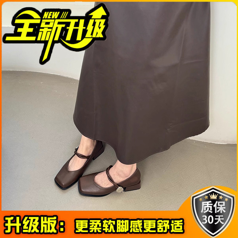 다크 브라운 업그레이드