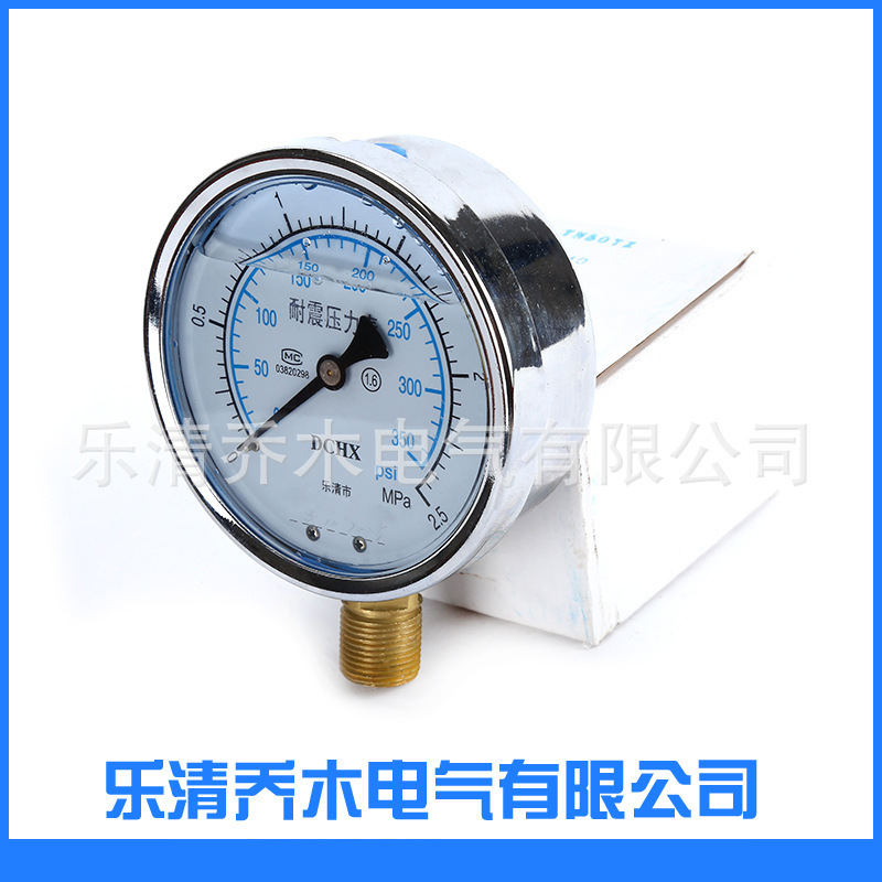 YTN-100耐震面板式径向气压水液压油压表外螺纹充油不锈钢压力表