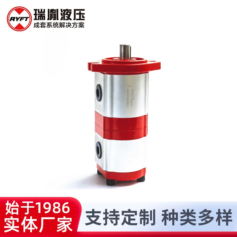 Поставка Rui Yi Double шестеренчатый насос небольшой гидравлический масляный насос система редукторный масляный насос оборудование для оптовой продажи