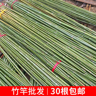 Small Bamboo, Thin Bamboo Poles, Vegetable Garden Frame, Outdoor Colorful Flags, Bamboo Poles, Thick Bamboo Poles, Long Bamboo Poles, Courtyard Decoration, Fence Bamboo