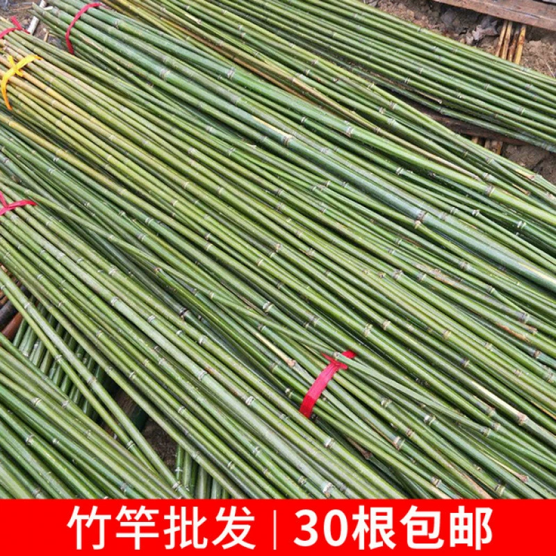 Маленький бамбук, тонкие бамбуковые шесты, каркас для огорода, красочные флаги на открытом воздухе, бамбуковые шесты, толстые бамбуковые шесты, длинные бамбуковые шесты, украшение двора, бамбуковый забор