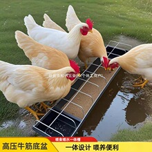 ���uʳ���u���Z��ʳ���ˮ���ˮι��һ�w���B�u�ϲ�ɢ�B����ʳ��